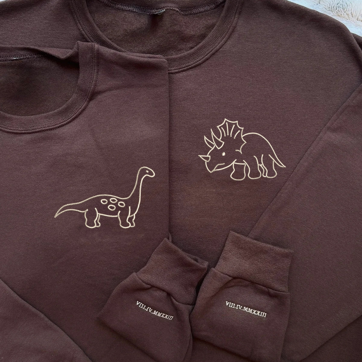 Custom Embroidered Cute Dinosaur Matching Hoodies for Couples - Image 6