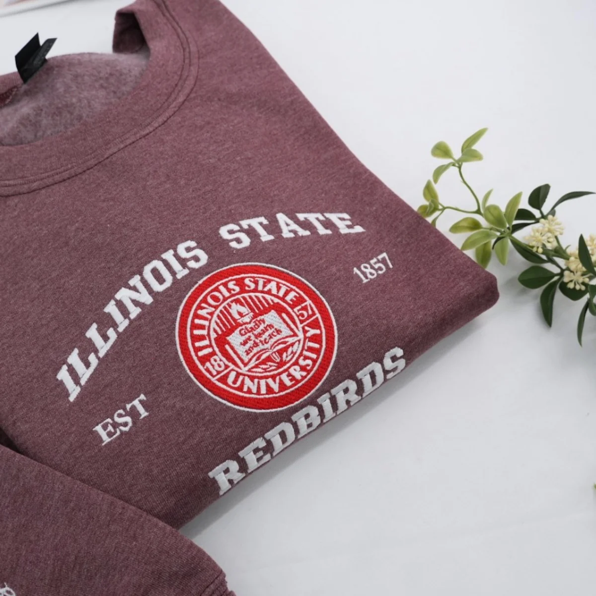 Custom University Hoodies - College School Spirit Embroidered Sweatshirts - Perfect Alumni Gift - Image 3